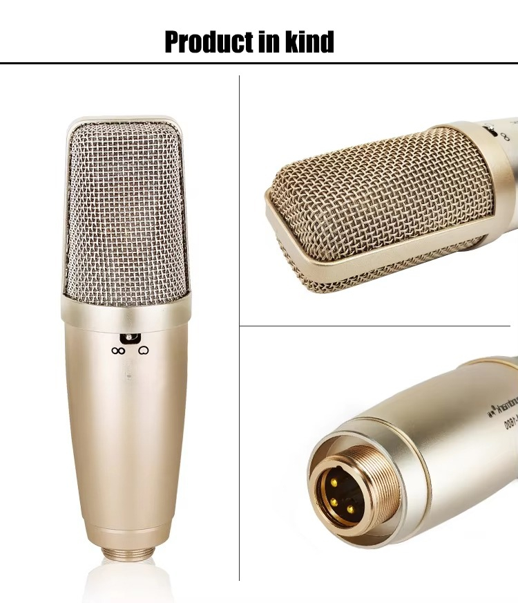 Brand New Kids Microphone With - огляд і ціна Musical Instrument Brands