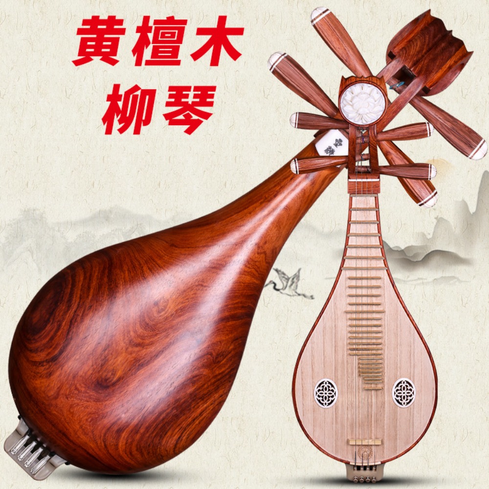 Beijing Xinghai 8414-A Rosewoo - огляд і ціна Musical Instruments