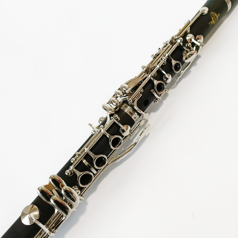 Brand Buffet Crampon Prodige B - огляд і ціна Musical Instrument Brands