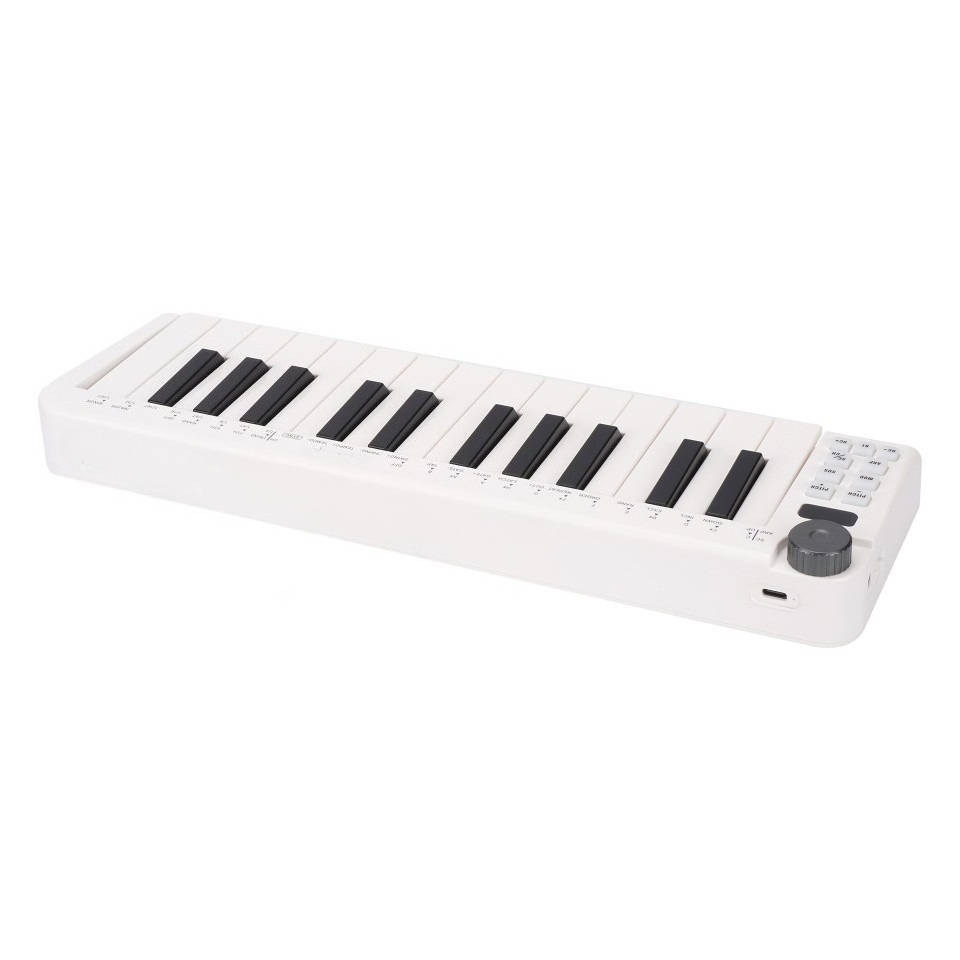 25-Key MIDI Controller, Wirele - огляд і ціна A Musical Instrument With Keys