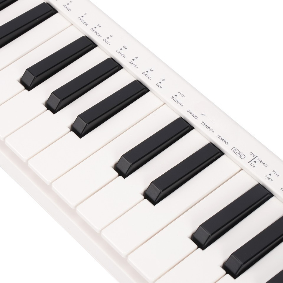 25-Key MIDI Controller, Wirele - огляд і ціна A Musical Instrument With Keys
