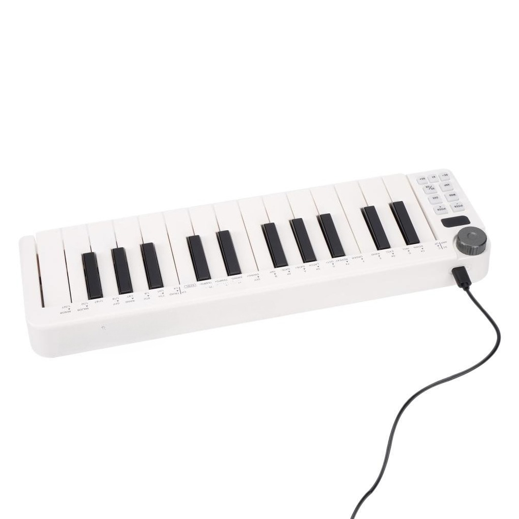 25-Key MIDI Controller, Wirele - огляд і ціна A Musical Instrument With Keys
