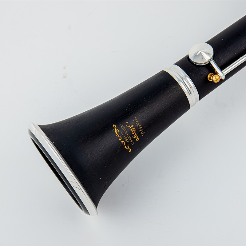 Japan Brand New Professional W - огляд і ціна Musical Instrument Brands